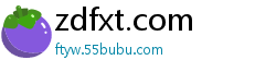zdfxt.com